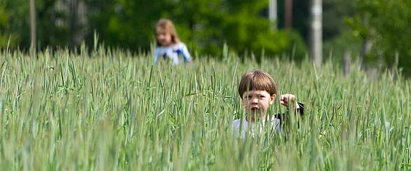 Kinder in Feld