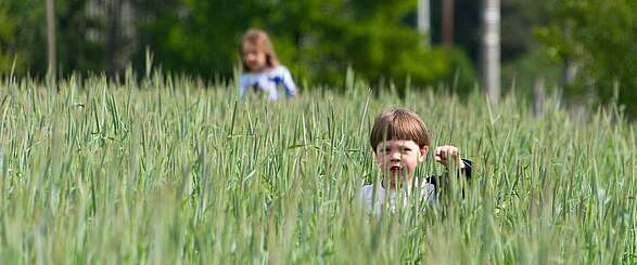 Kinder in Feld