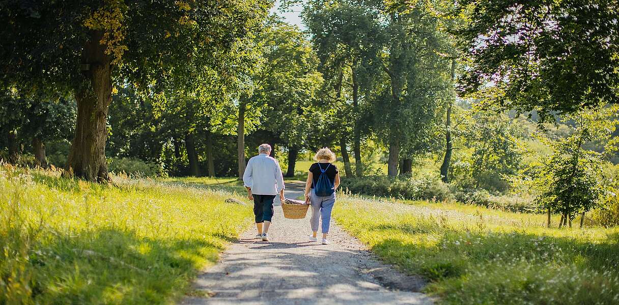 Auf der Suche nach einem Picknickplatz