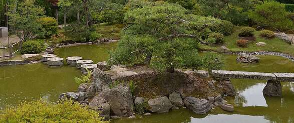 Insel mit Kiefern im japanischen Bonsaigarten