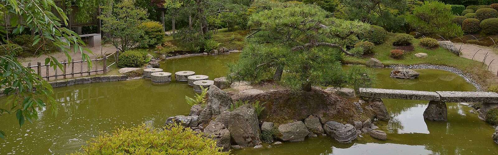 Insel mit Kiefern im japanischen Bonsaigarten