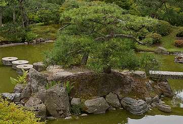 Insel mit Kiefern im japanischen Bonsaigarten