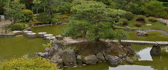 Insel mit Kiefern im japanischen Bonsaigarten