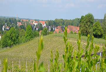 Werderaner Wachtelberg