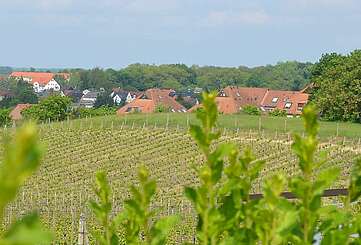 Werderaner Wachtelberg