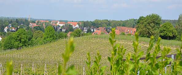 Werderaner Wachtelberg