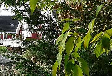 Ferienpark Scharmützelsee