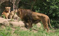 Zoos & Tierparks