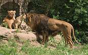 Zoos & Tierparks