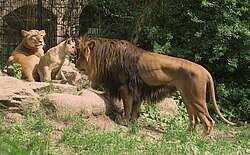Zoos & Tierparks