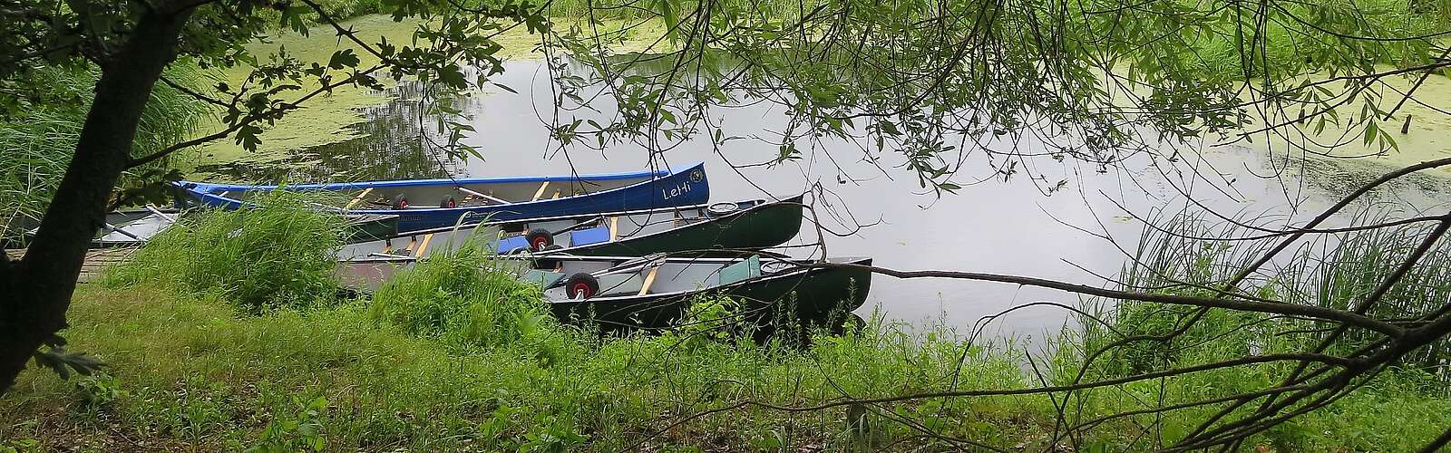 Kanus im Nationalpark Unteres Odertal