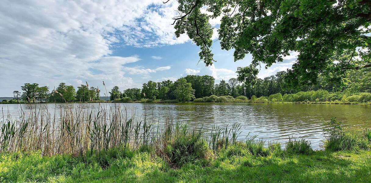 Blick auf den Schwielowsee
