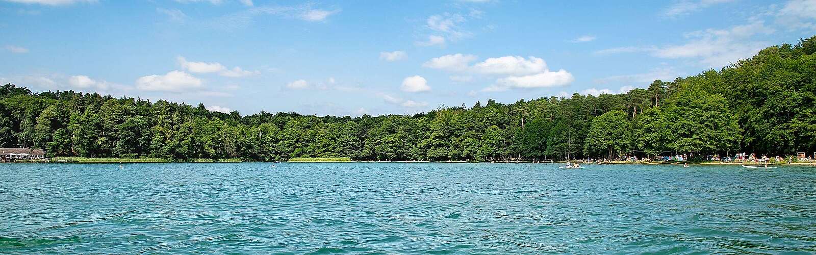 Blick auf den Stechlinsee