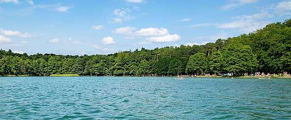 Blick auf den Stechlinsee