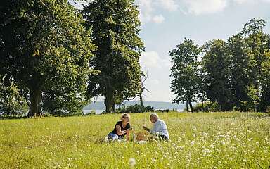 Picknick auf der Blumenwiese