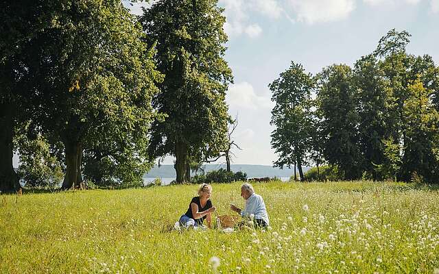 Picknick auf der Blumenwiese
