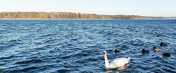 Wintertag am Werbellinsee