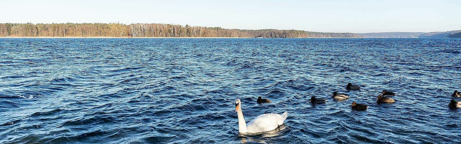 Wintertag am Werbellinsee
