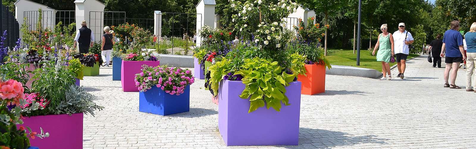 Bunte Blumenpracht auf der Landesgartenschau Prenzlau