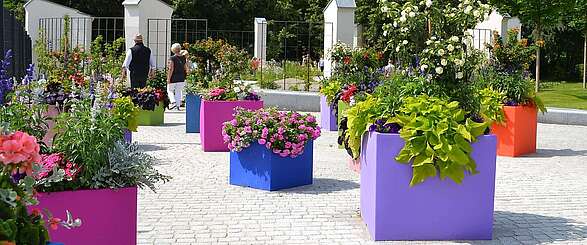Bunte Blumenpracht auf der Landesgartenschau Prenzlau
