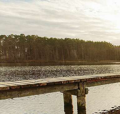 Sunrise-Yoga auf dem Steg