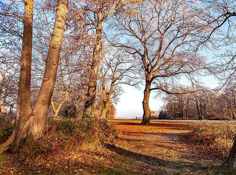 Jogger im Neuen Garten in Potsdam