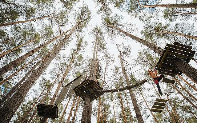 Mutter klettert in den Baumwipfeln im Kletterwald Schorfheide