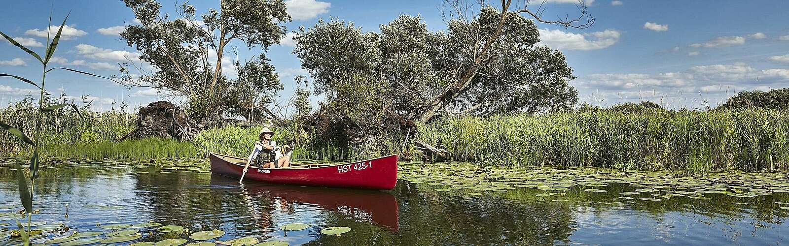 Kanufahrer im Nationalpark Unteres Odertal
