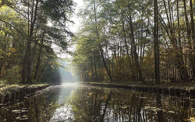 Kanuwanderung im Ruppiner Seenland