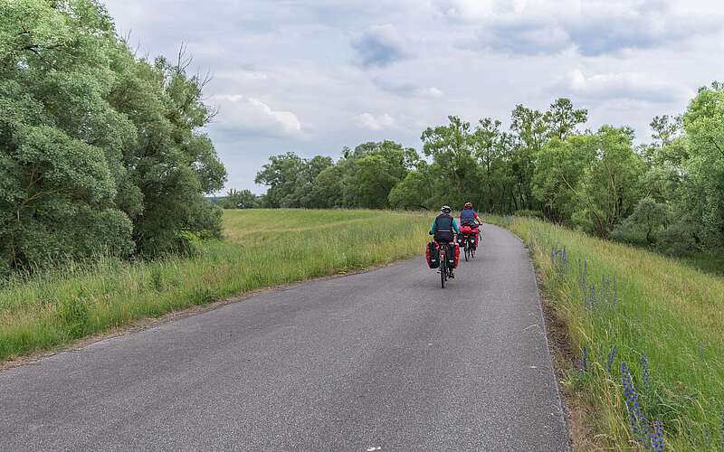 Radfahrer im Nationalpark Unteres Odertal