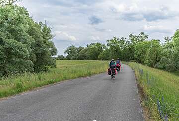 Radfahrer im Nationalpark Unteres Odertal