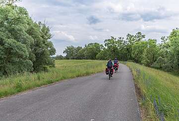 Radfahrer im Nationalpark Unteres Odertal