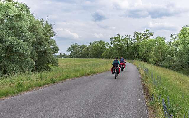 Radfahrer im Nationalpark Unteres Odertal Radfahrer im Nationalpark Unteres Odertal