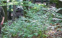Naturerlebnis