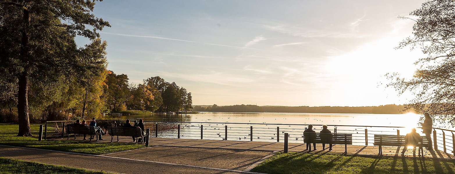 Am Scharmützelsee in Bad Saarow