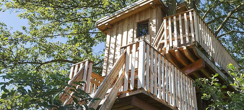 Baumhaushotel Gut Gollin