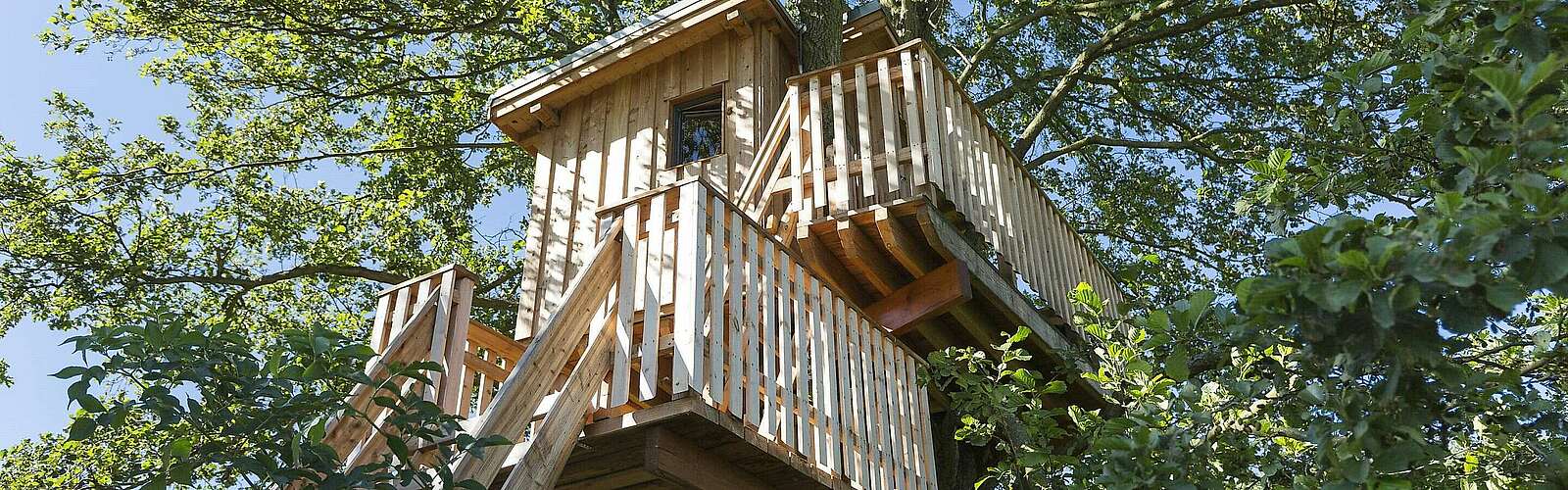 Baumhaushotel Gut Gollin