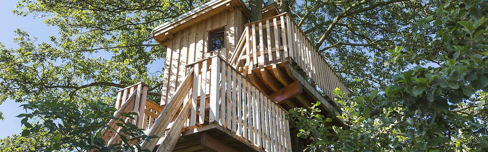 Baumhaushotel Gut Gollin