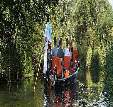 Kahnfahrt im Spreewald Schlepzig Hauptspree