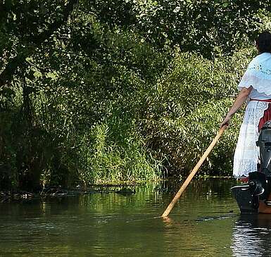 Kahnfahrt im Spreewald Schlepzig Hauptspree