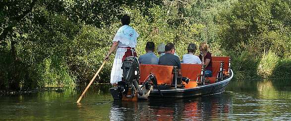Kahnfahrt im Spreewald Schlepzig Hauptspree