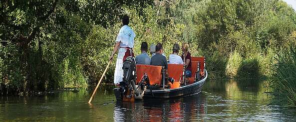 Kahnfahrt im Spreewald Schlepzig Hauptspree