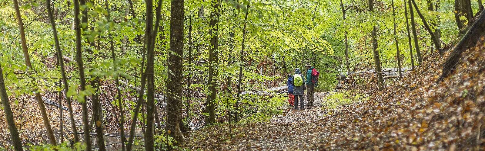 Wandern im Biesenthaler Becken
