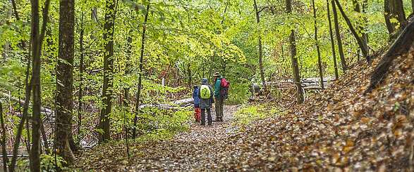 Wandern im Biesenthaler Becken