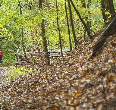 Wandern im Biesenthaler Becken