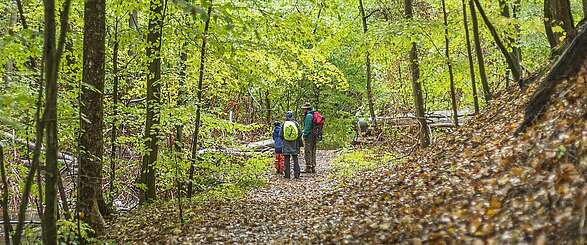 Wandern im Biesenthaler Becken