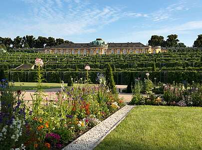Blick auf Schloss Sanssouci