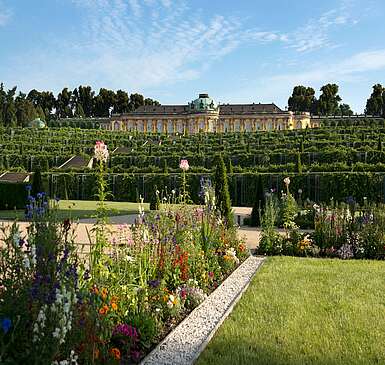 Blick auf Schloss Sanssouci