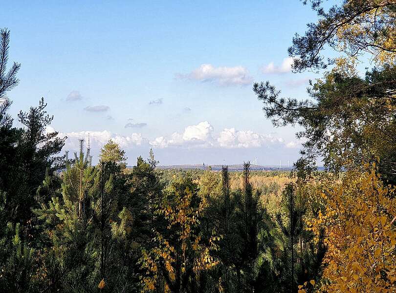 In der Calauer Schweiz