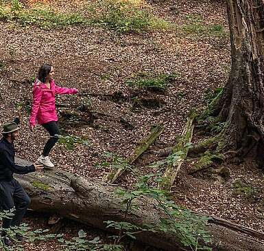 Wanderer am Binenbach